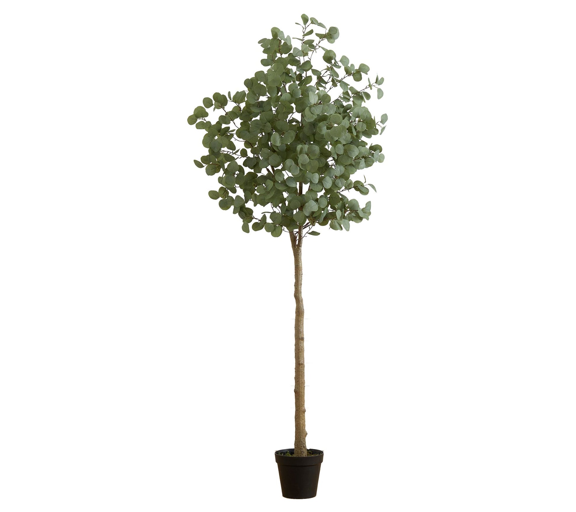 Nearly Natural 7-ft Artificial Eucalyptus Tree