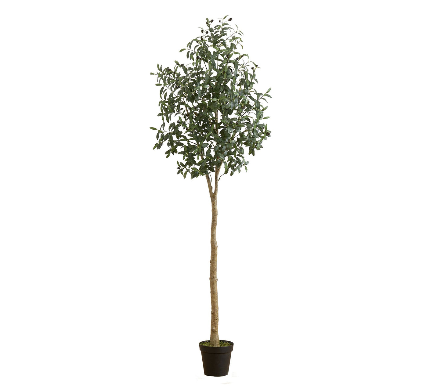 Nearly Natural 7-ft Artificial Olive Tree