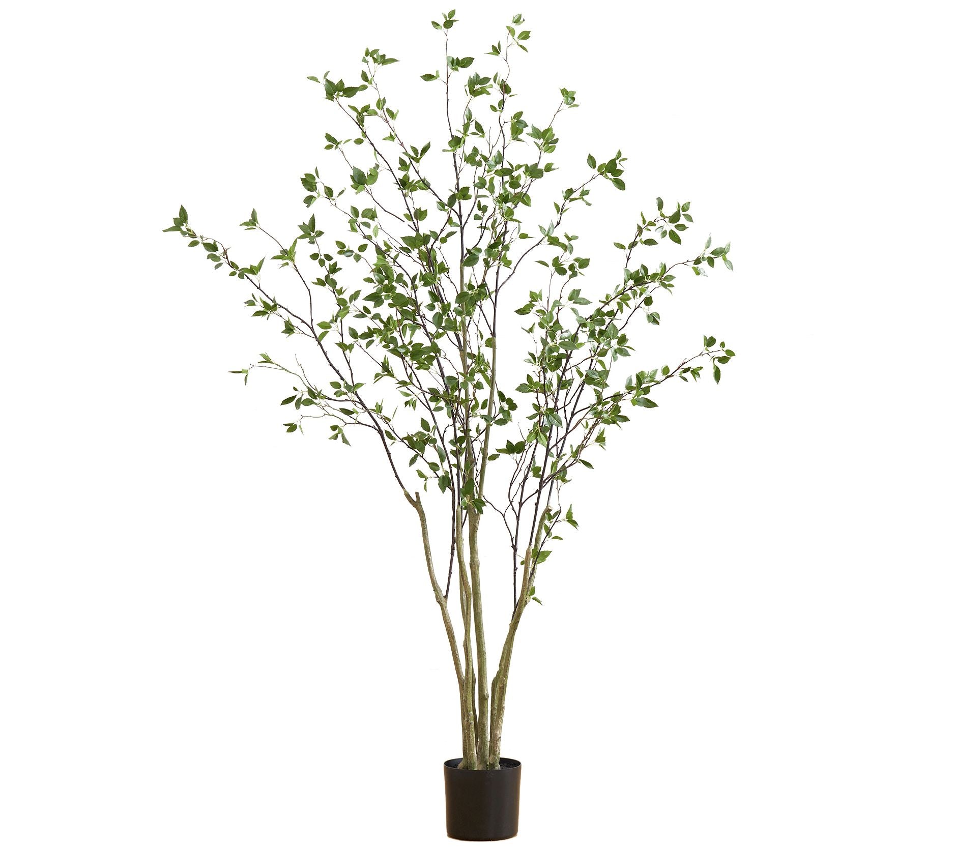 Nearly Natural 7' Minimalist Citrus Tree