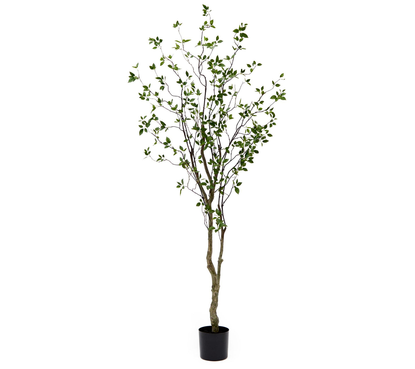 Nearly Natural 8' Minimalist Citrus Artificialree