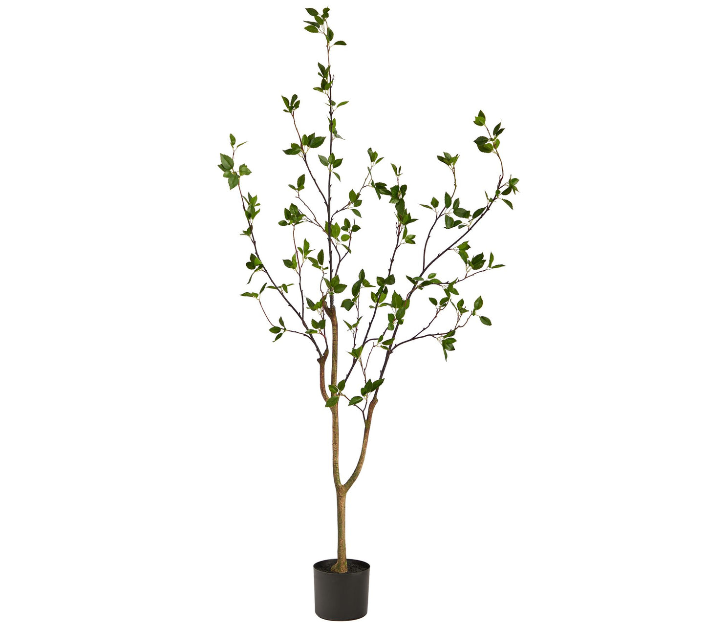 Nearly Natural 5' Minimalist Citrus Artificial Tree