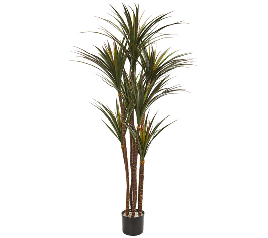 Nearly Natural 5.5' Giant Yucca Artificial Tree UV Resistant