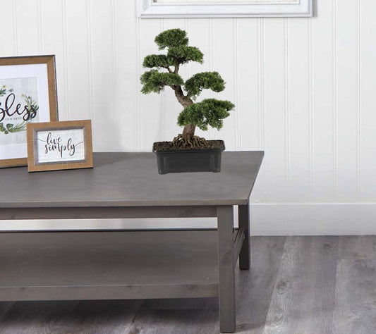 Nearly Natural 2' Cedar Bonsai Tree