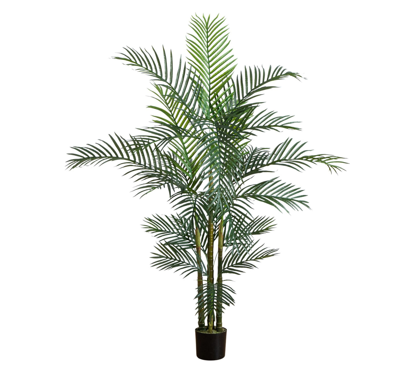 Nearly Natural 6' UV Resistant   Palm Tree (Indoor/Outdoor)