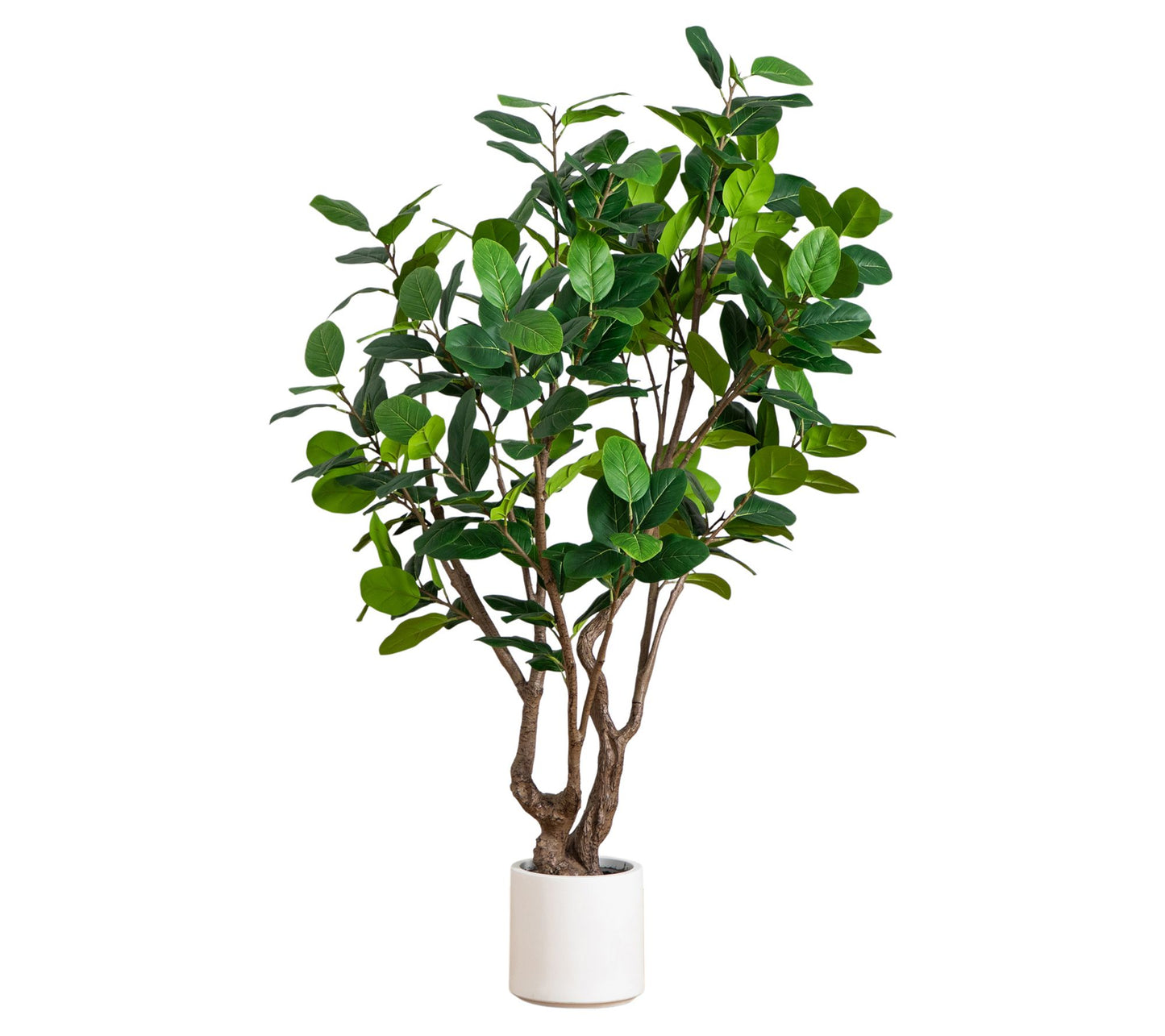 Nearly Natural 6' Audrey Ficus Tree in White Planter