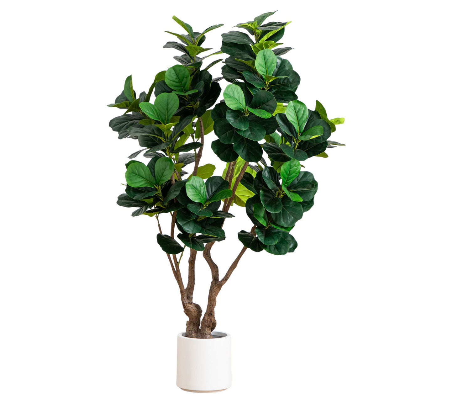 Nearly Natural 6' Grand Fiddle Leaf in White Planter