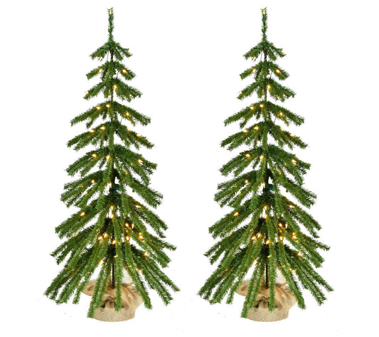 Fraser Hill Farm 4 ft. Downswept Farmhouse FirChristmas Tree