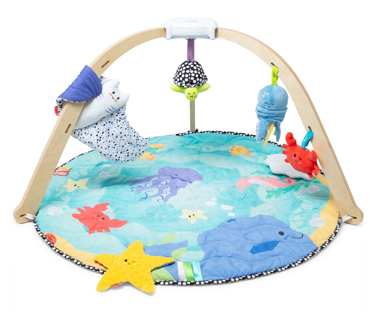 Melissa & Doug Ocean Easy-Fold Play Gym